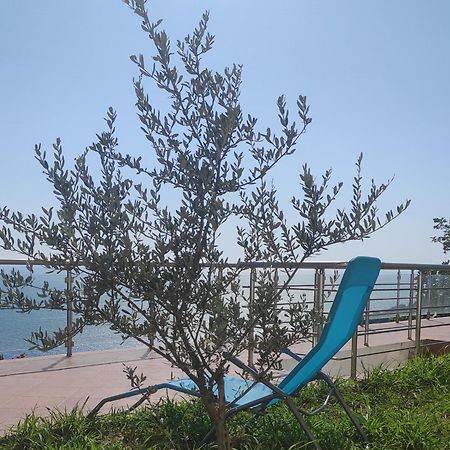 Apartment Oliva أولتْسي المظهر الخارجي الصورة